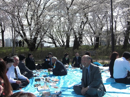 Ханамі - свято квітучої сакури