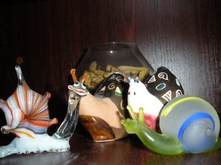 Колекція равликів Лариси Денисенко