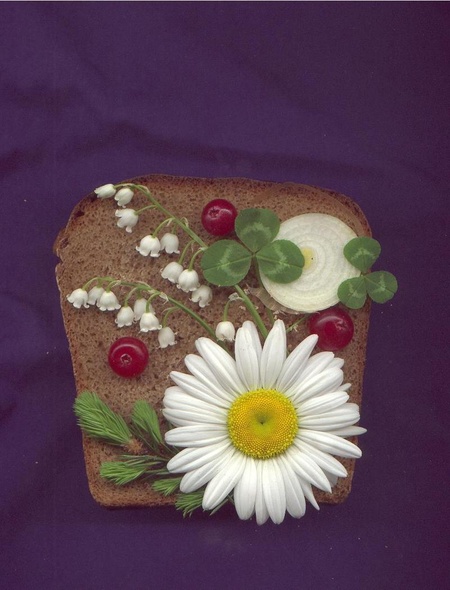 "сканіті" - зроблено Мілою Іванцовою на початку 2000-х за відсутності ще цифрового фотоапарату