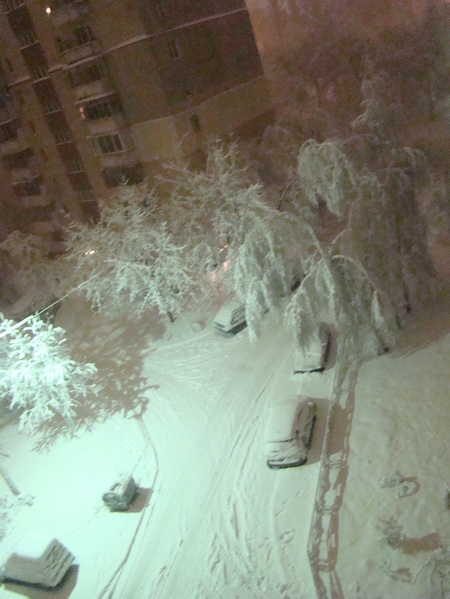 29/12/2009 - Київ у сніговому полоні