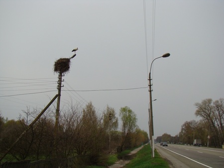 Дорожній наглядач (Чернігівська траса)